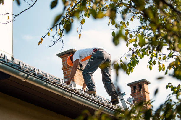 Best Roofing Contractor Near Me  in Paris, IL