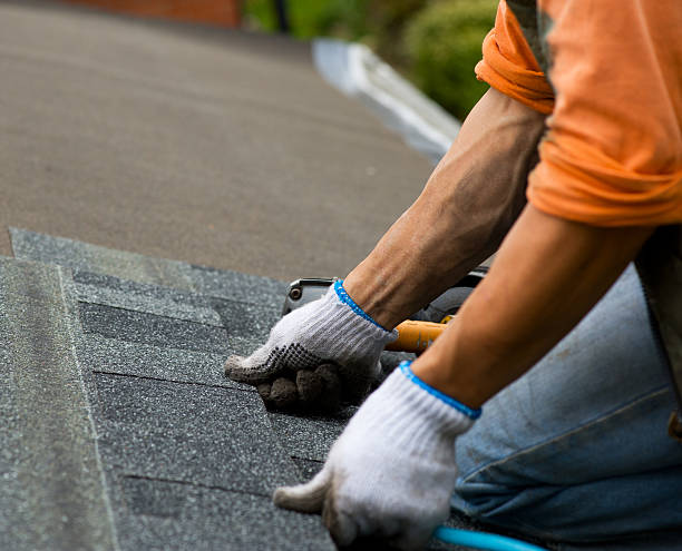 Best New Roof Installation  in Paris, IL