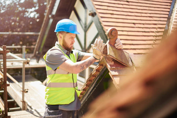 Best Roof Maintenance Services  in Paris, IL