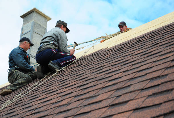 Best Affordable Roofing Company  in Paris, IL
